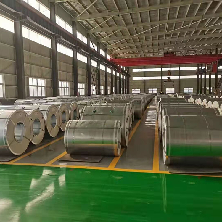 DC01  Galvanized coil
